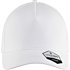 2077 Cap flexible