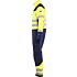 6379 Multinorm Overall