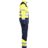 6379 Multinorm Overall