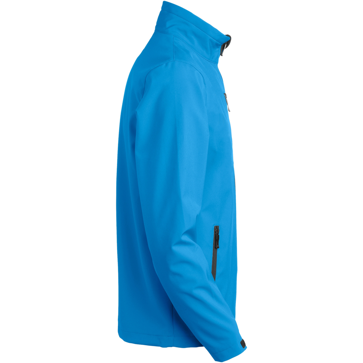 Atlantic Softshell