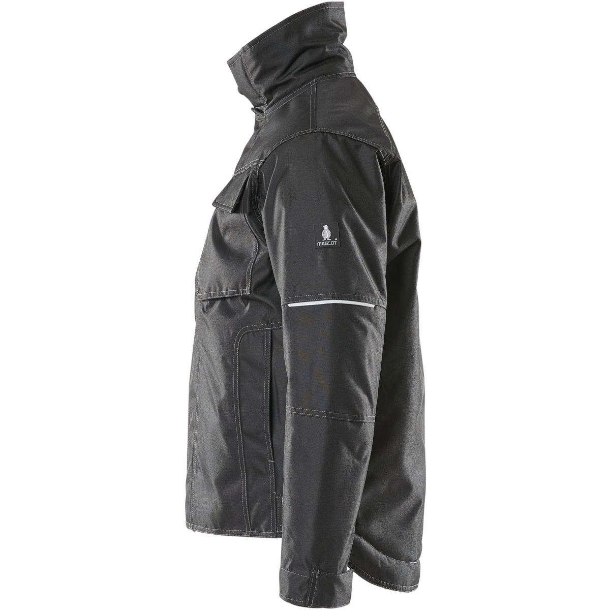 Winter Jacket