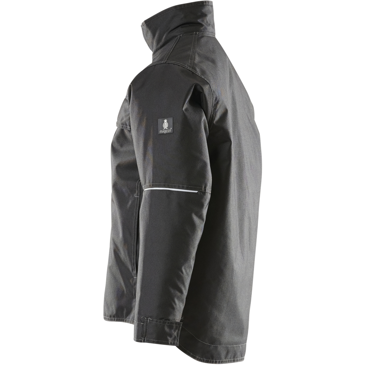Winter Jacket