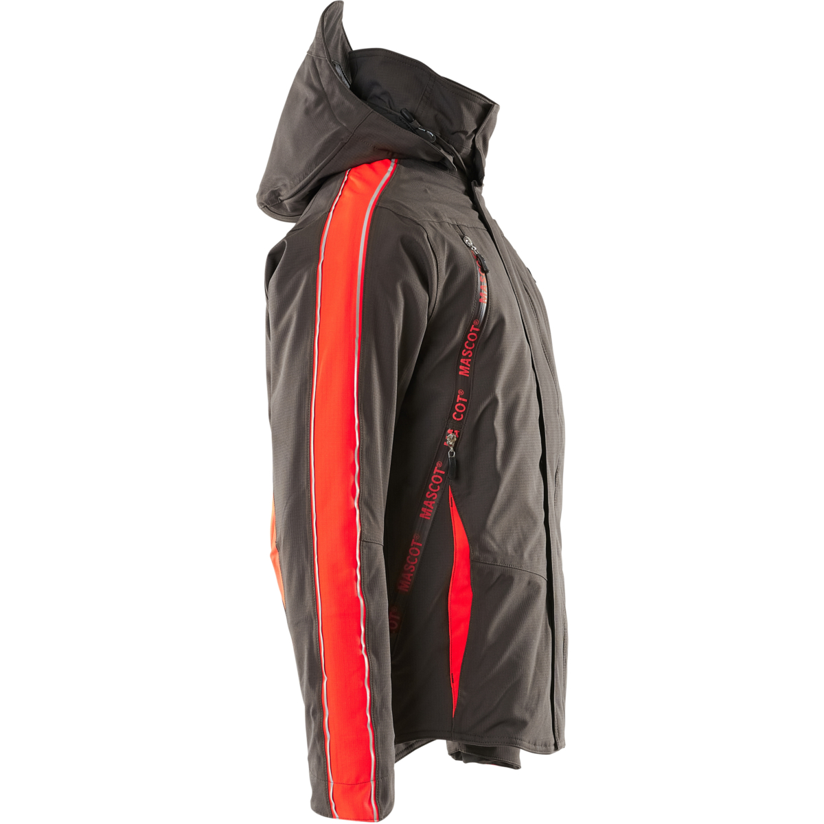 Winter Jacket