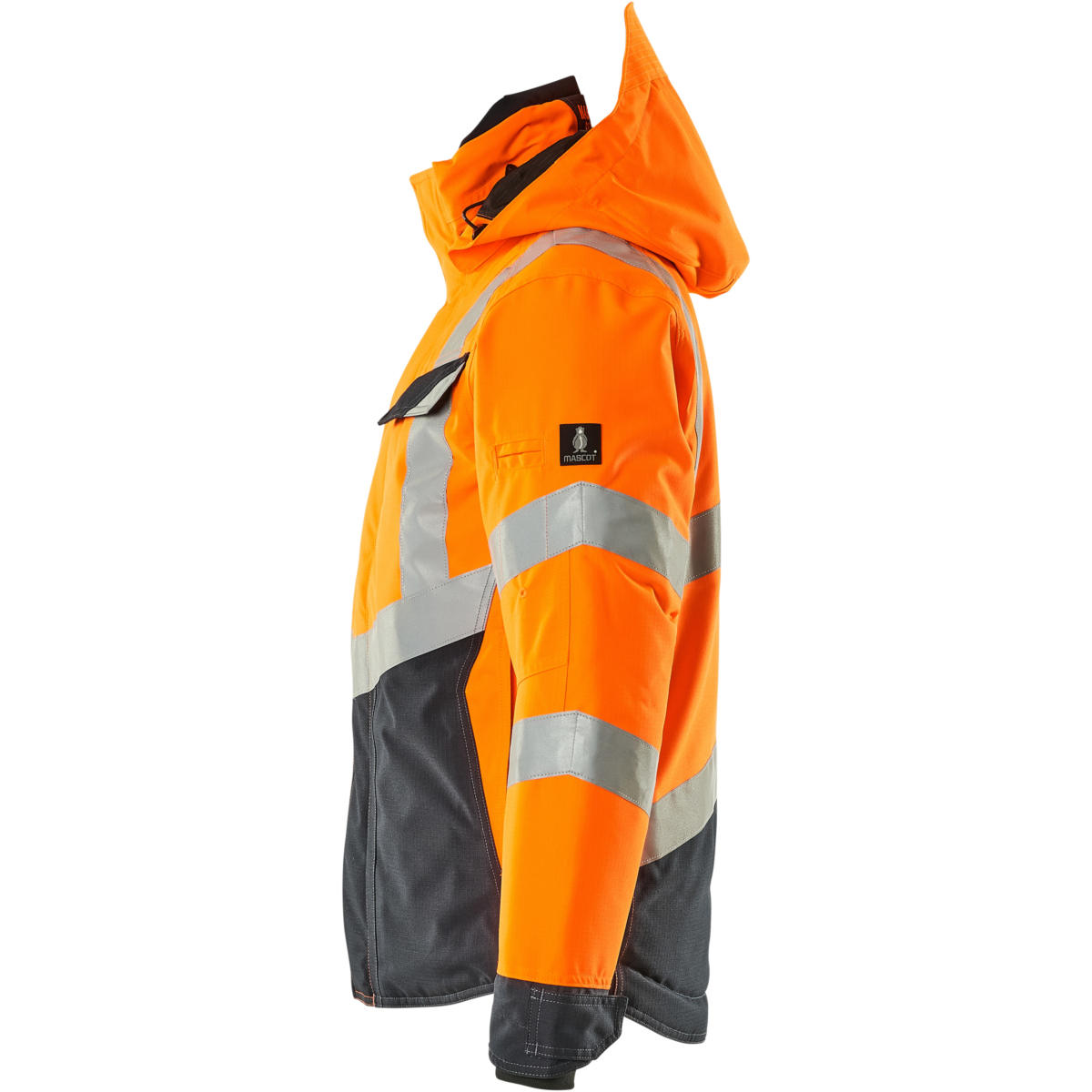 Winter Jacket