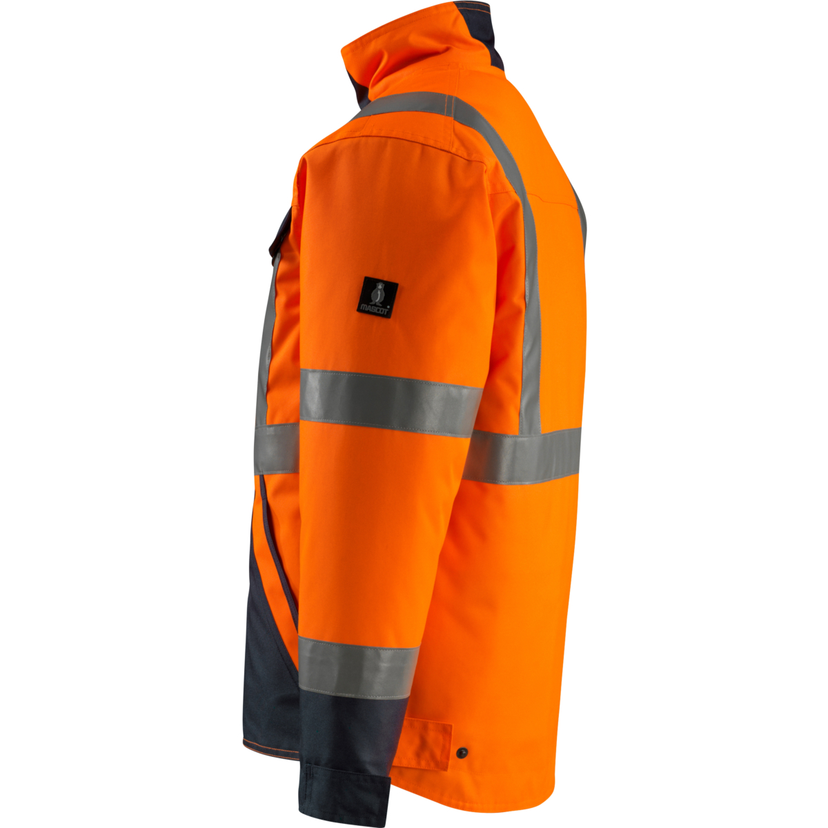Winter Jacket