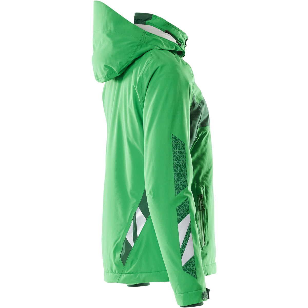 Winter Jacket