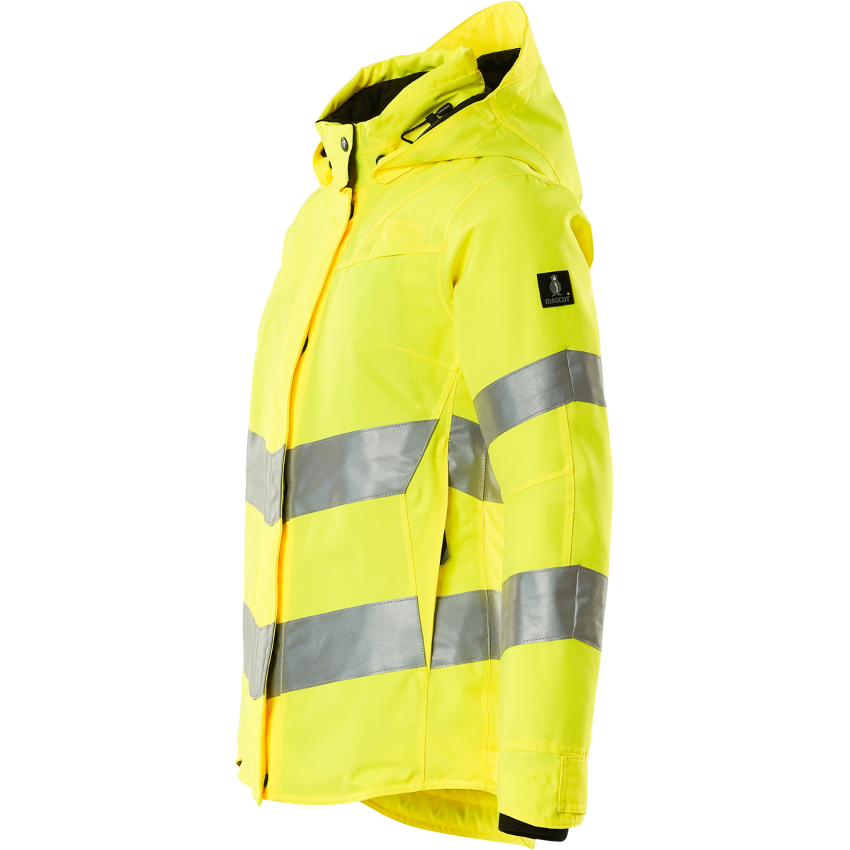 Winter Jacket