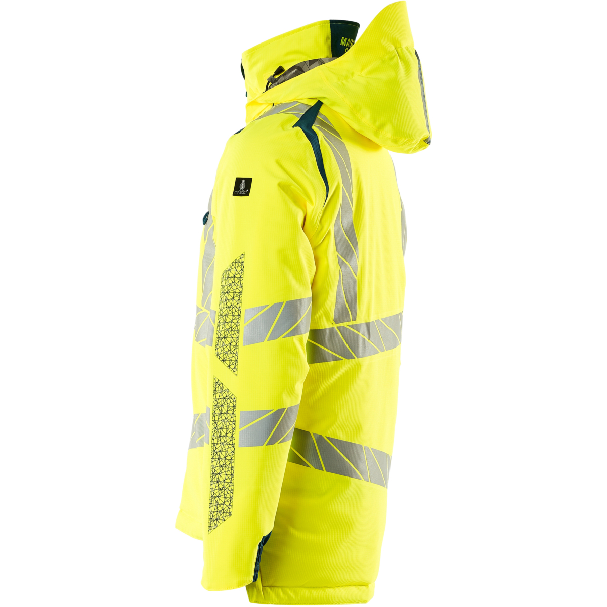 Winter Jacket