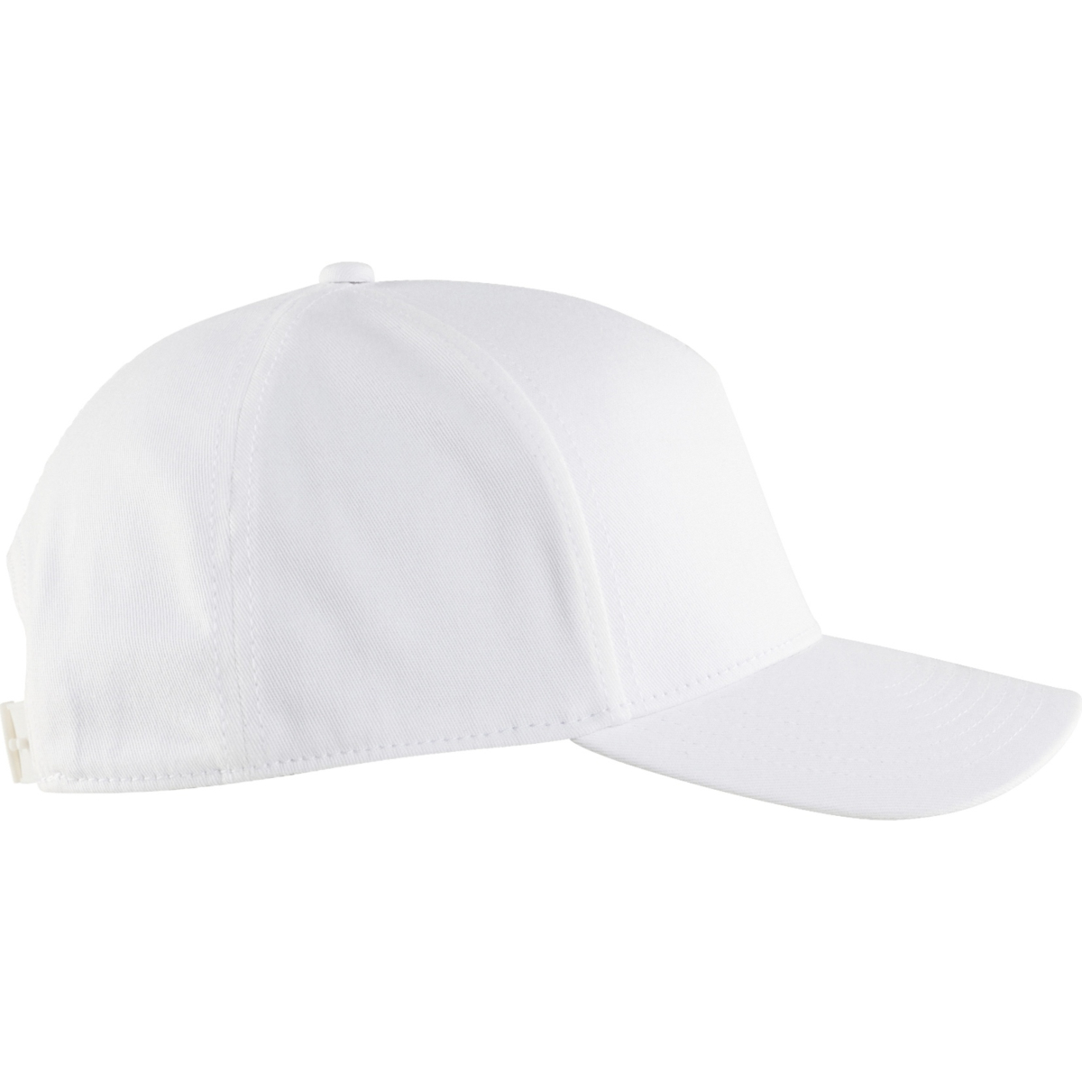 2077 Cap flexible
