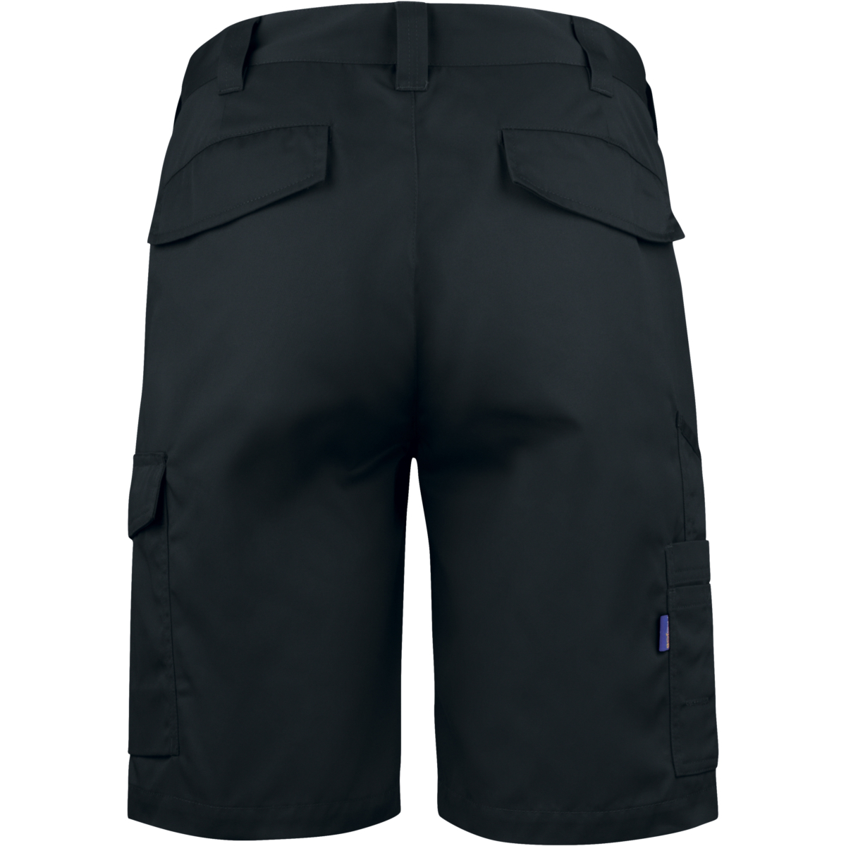 2528 Shorts
