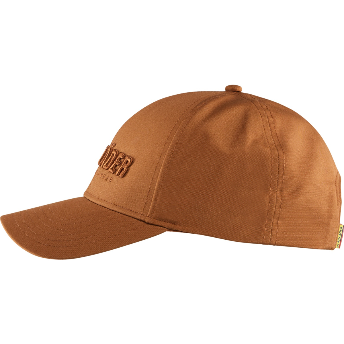 9231 Cap 3D