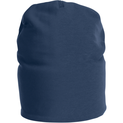 9038 Lined Beanie